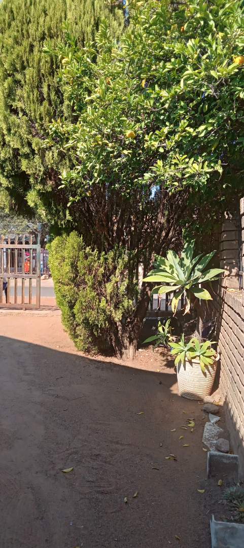 3 Bedroom Property for Sale in Lethlabile North West